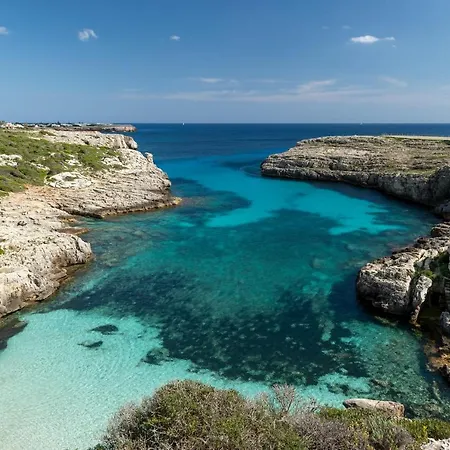 Maseo 223 *